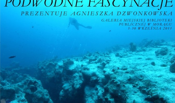 Plakat "Podwodne fascynacje", w tle nurek wśród rafy koralowej