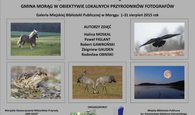 Tablica ,,Przyrodnicze piękno''