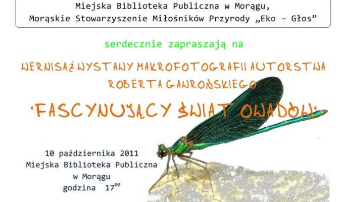 Plakat "Fascynujący świat owadów", w tle ważka